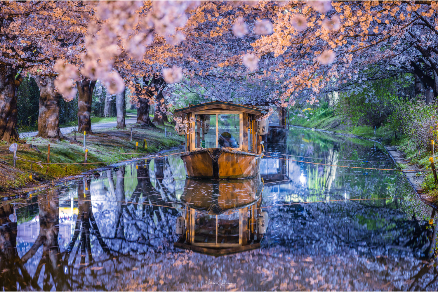 グランプリ