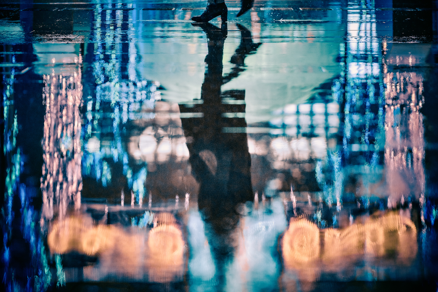 写 部門賞