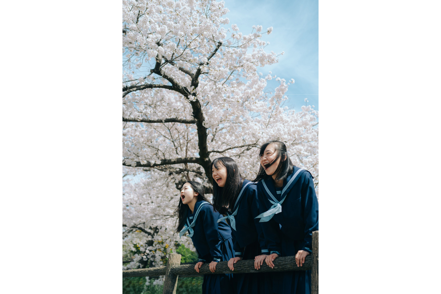 ポートレート/ファッション部門賞