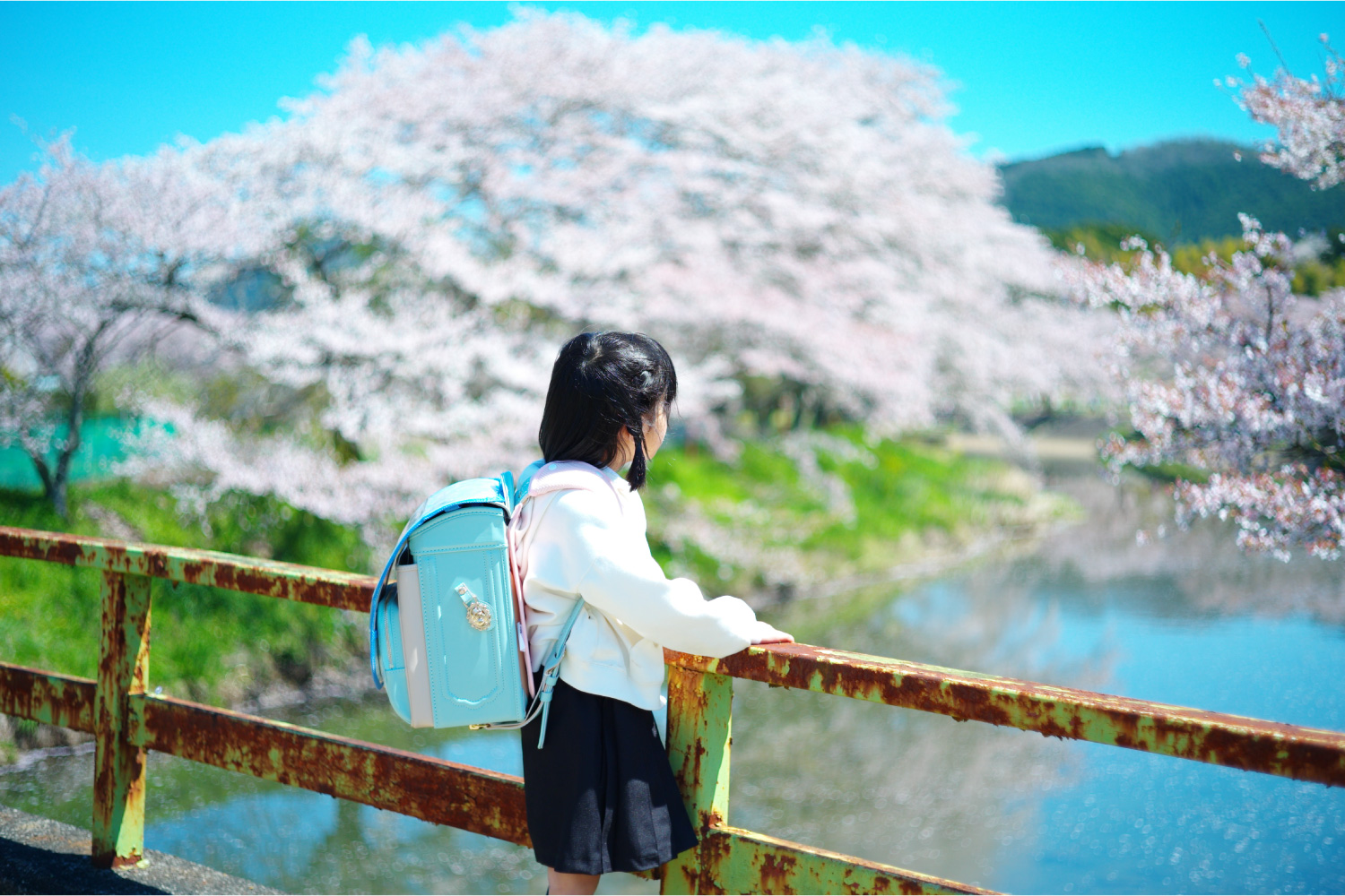 ポートレート/ファッション部門賞