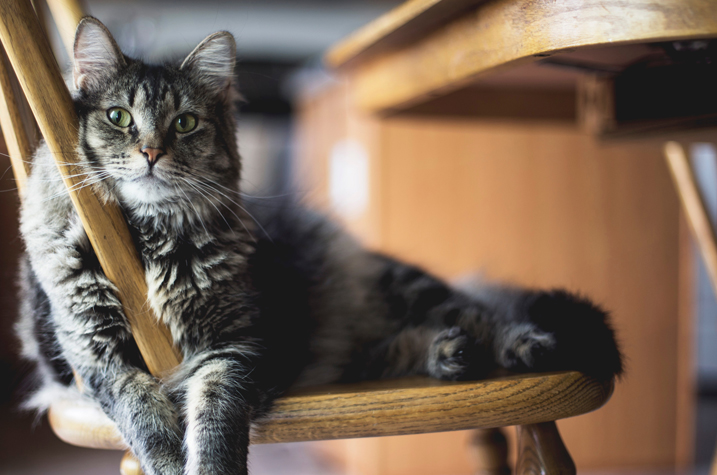 LeicaQ2がもらえるフォトコンテスト