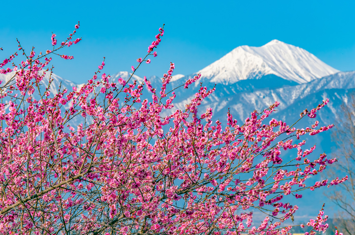 名所絶景フォトコンテスト