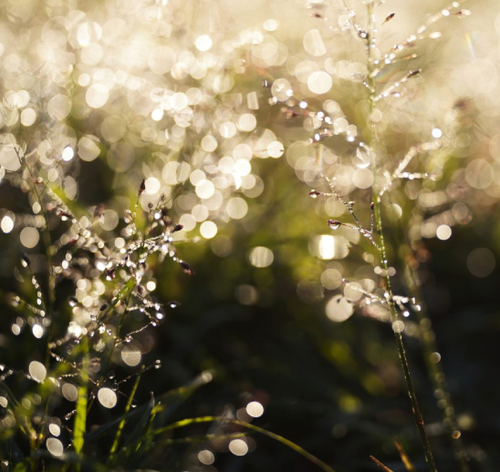 フォトコンテスト案内