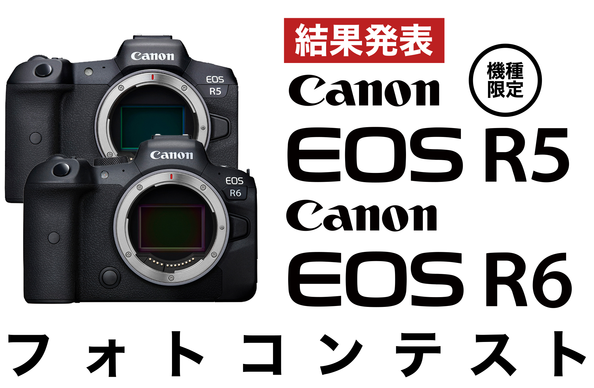 Canon EOS R5/R6で撮影した作品を募集
