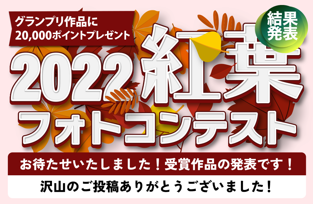 紅葉フォトコンテスト