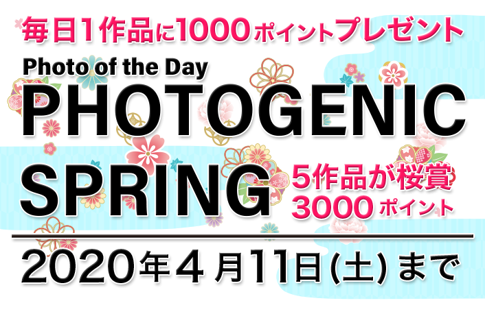 Photogenic Spring フォトコンテスト 春の写真を大募集 Everybody Photographer Com