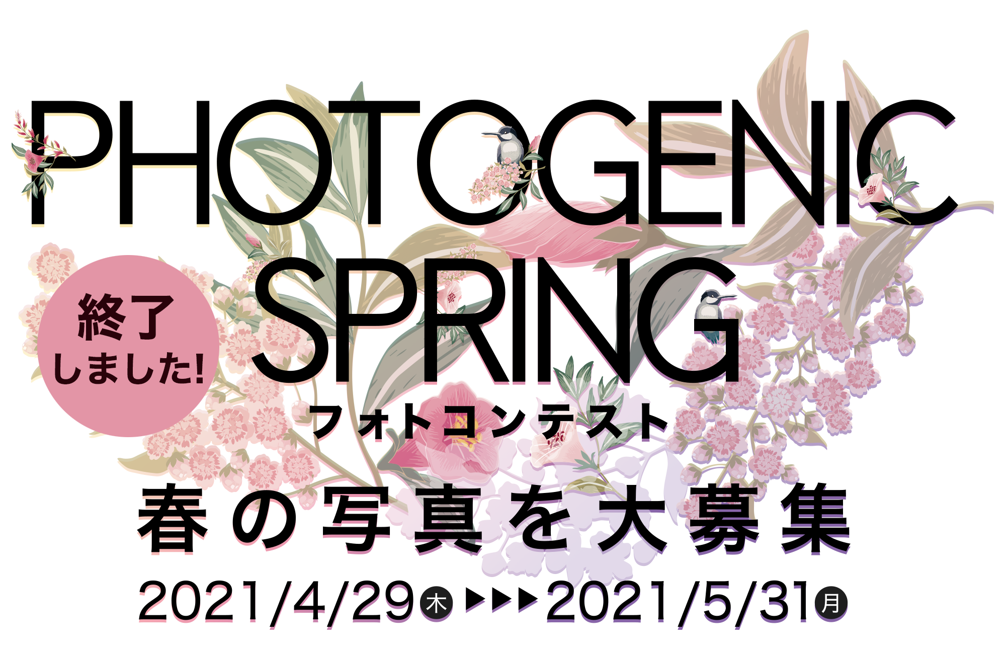 Photogenic Spring フォトコンテスト 21 Everybody Photographer Com