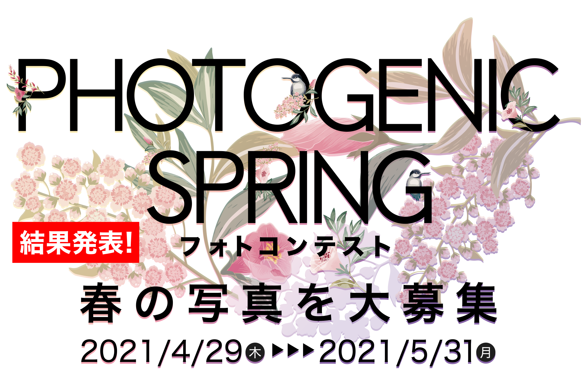 Photogenic Springフォトコンテスト2021