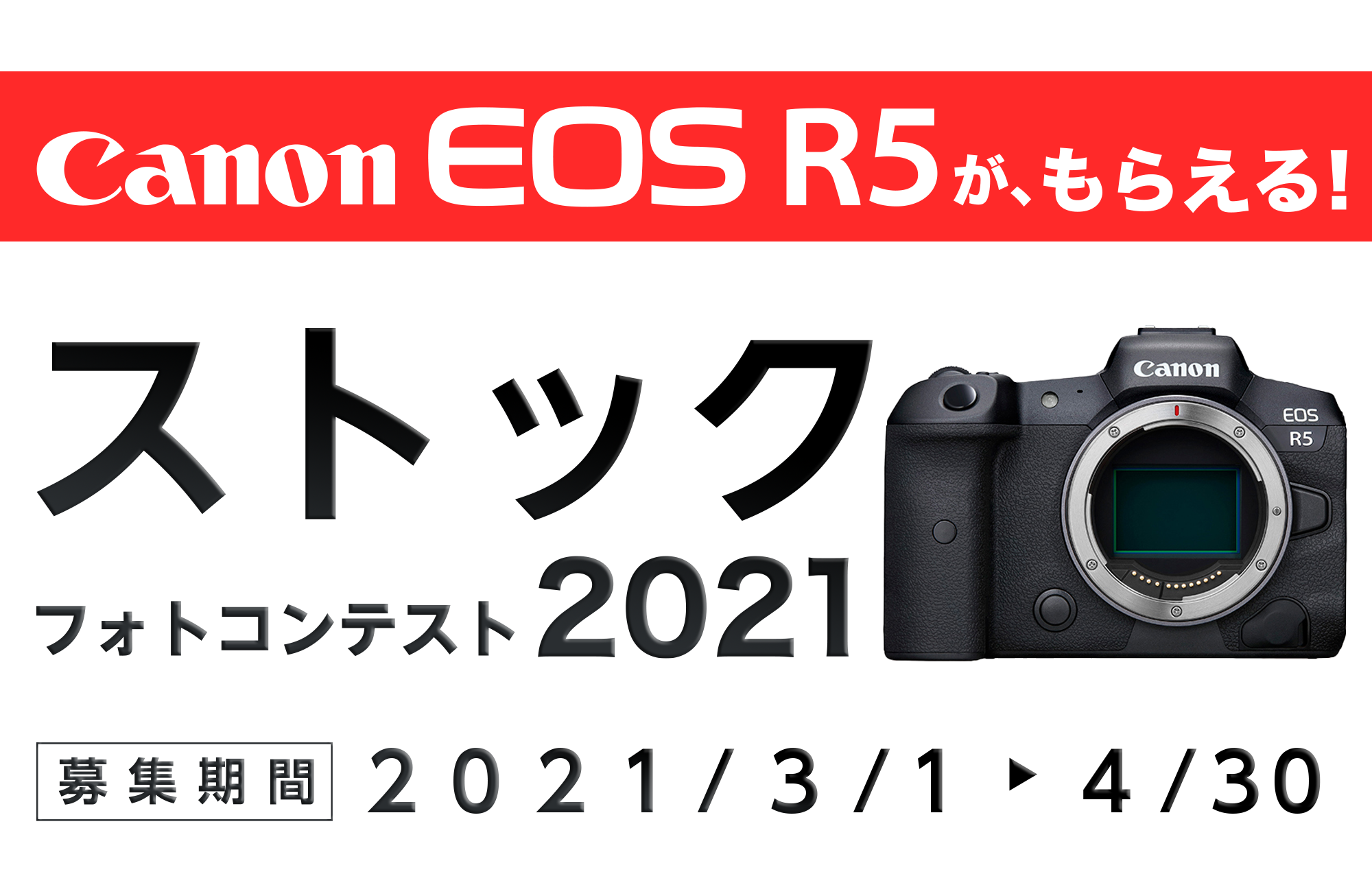 Canon Eos R5がもらえる ストックフォトコンテスト21 Everybody Photographer Com Canon Eos R5がもらえる ストックフォトコンテスト21 Everybody Photographer Com