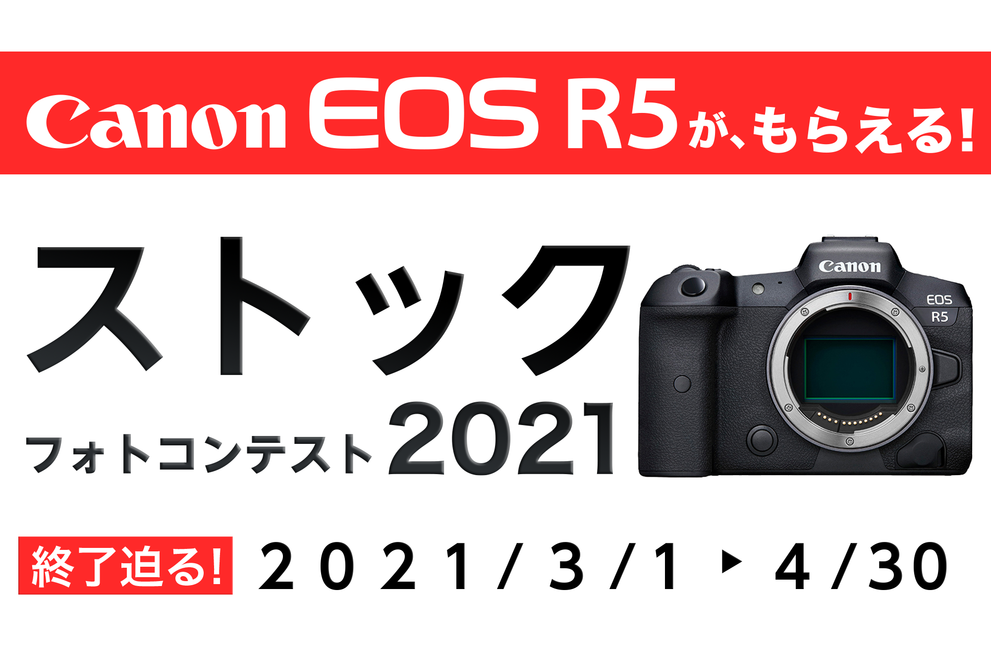 毎日1作品にマップカメラでのお買い物に使える1000ポイント！Canon EOS R5がもらえる ストックフォトコンテスト2021