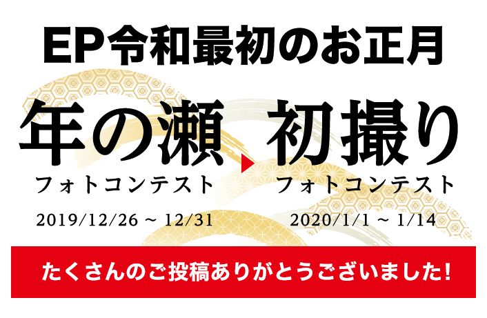 Ep令和最初のお正月 Everybody Photographer Com Ep令和最初のお正月 Everybody Photographer Com