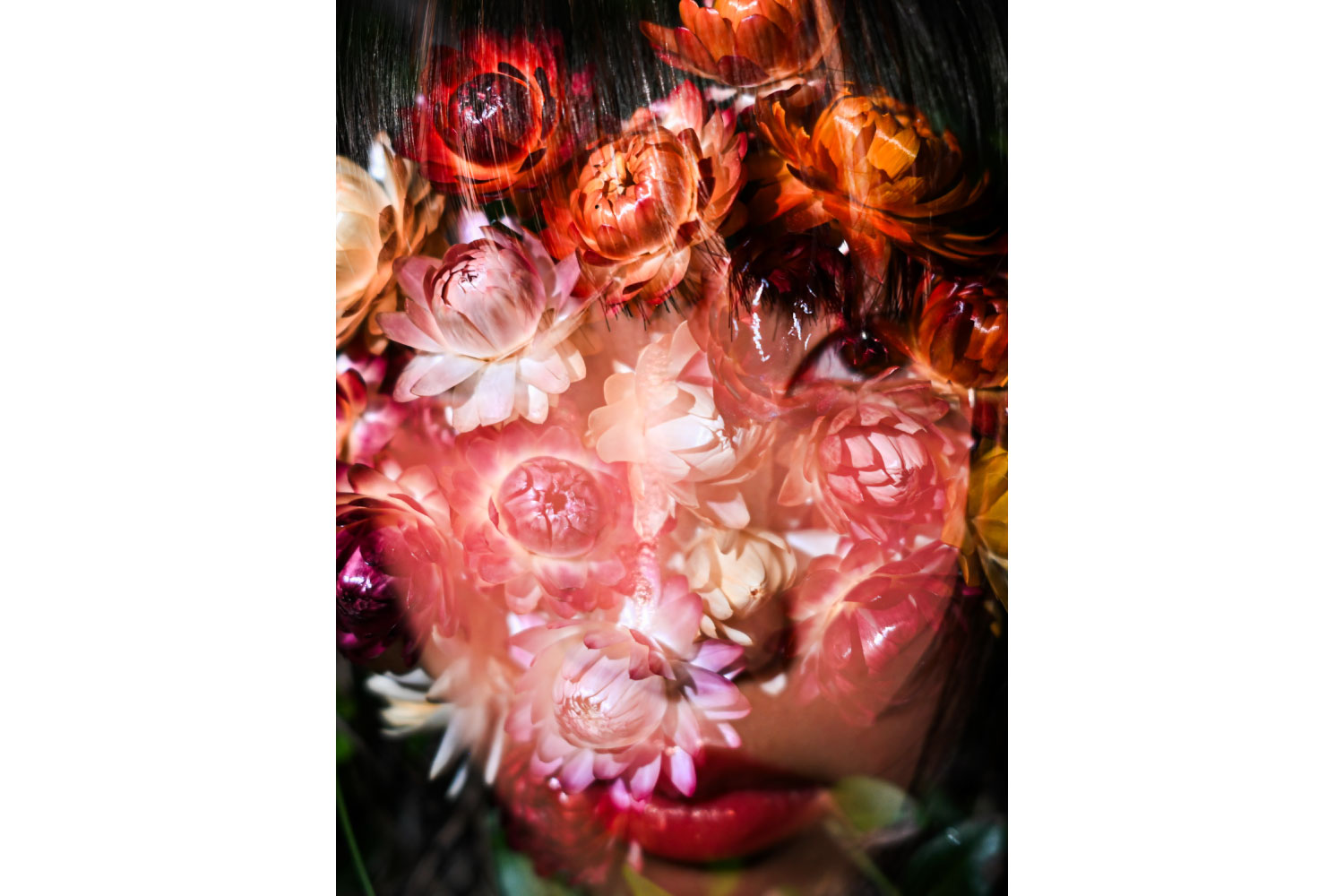 望遠レンズ部門賞