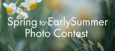 3月購入者様限定 Photo Contest