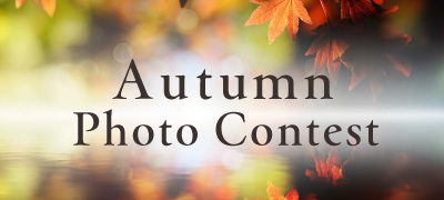 https://www.every-photo.com/html/momizi2025/