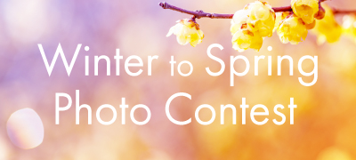 2026 Winter to Spring Photo Contest