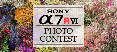 「SONY α7RVI Photo Contest」