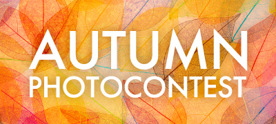 「SONY α7RVI Photo Contest」