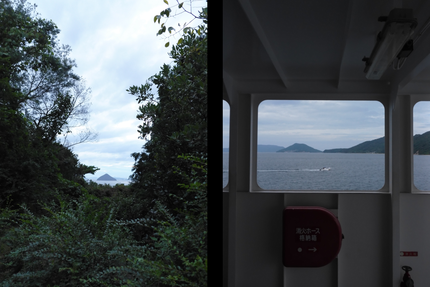 ポートレート/ファッション部門賞