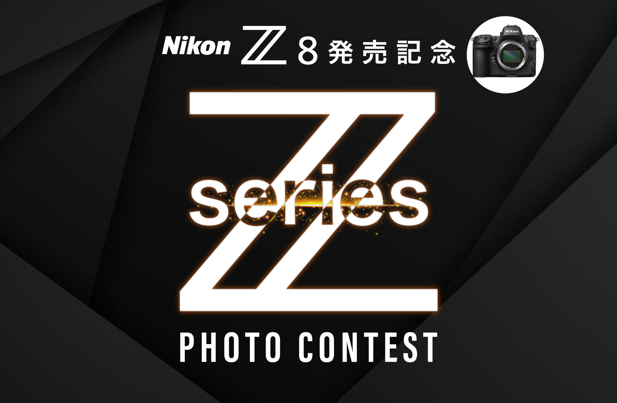 年代物　ヴィンテージ　ニコン　nikon オブジェ　木製　ロゴ　スタンド　非売品 年代物 ヴィンテージ ニコン nikon オブジェ 木製 ロゴ スタンド