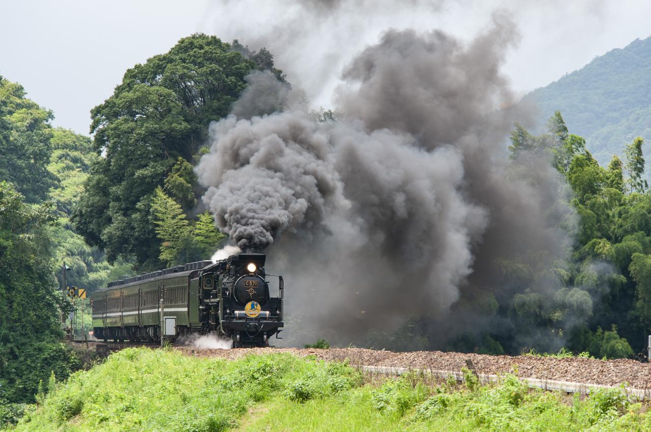 国鉄D51 953 貨物列車 | EVERYBODY×PHOTOGRAPHER.com