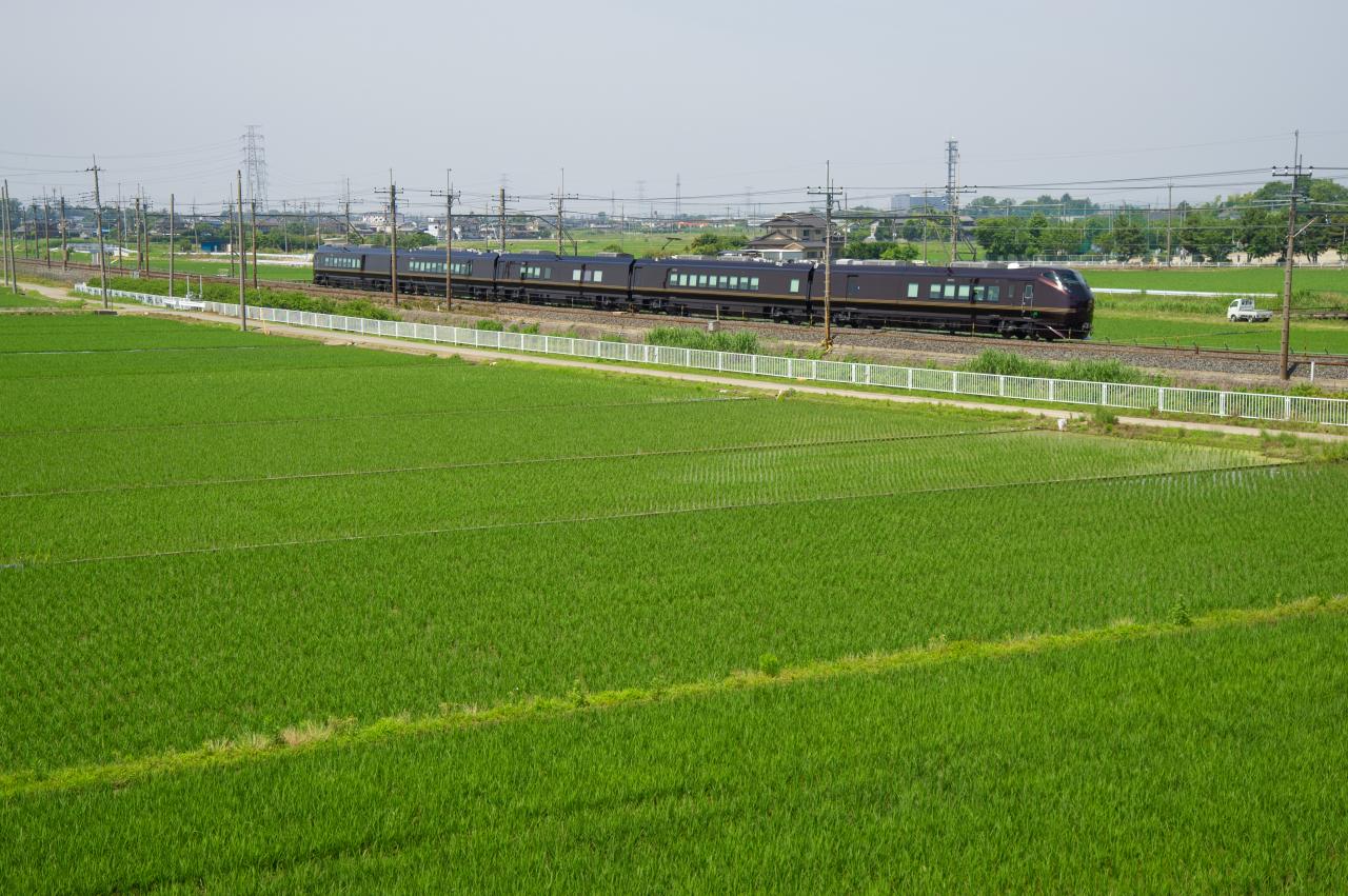 Amazon.co.jp: 現存は皆無／[巨大大日本鉄道線路全図明治24年