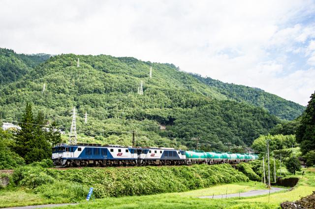 江ノ電連接車、七里ヶ浜の海岸線を走る | EVERYBODY