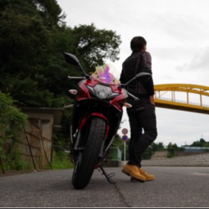 TF-riders