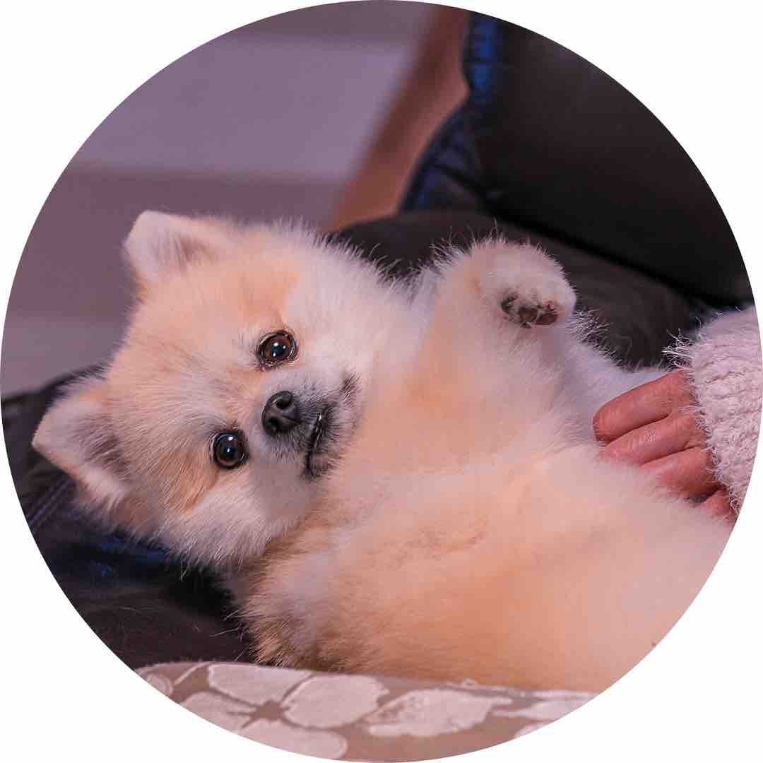 ヒナ