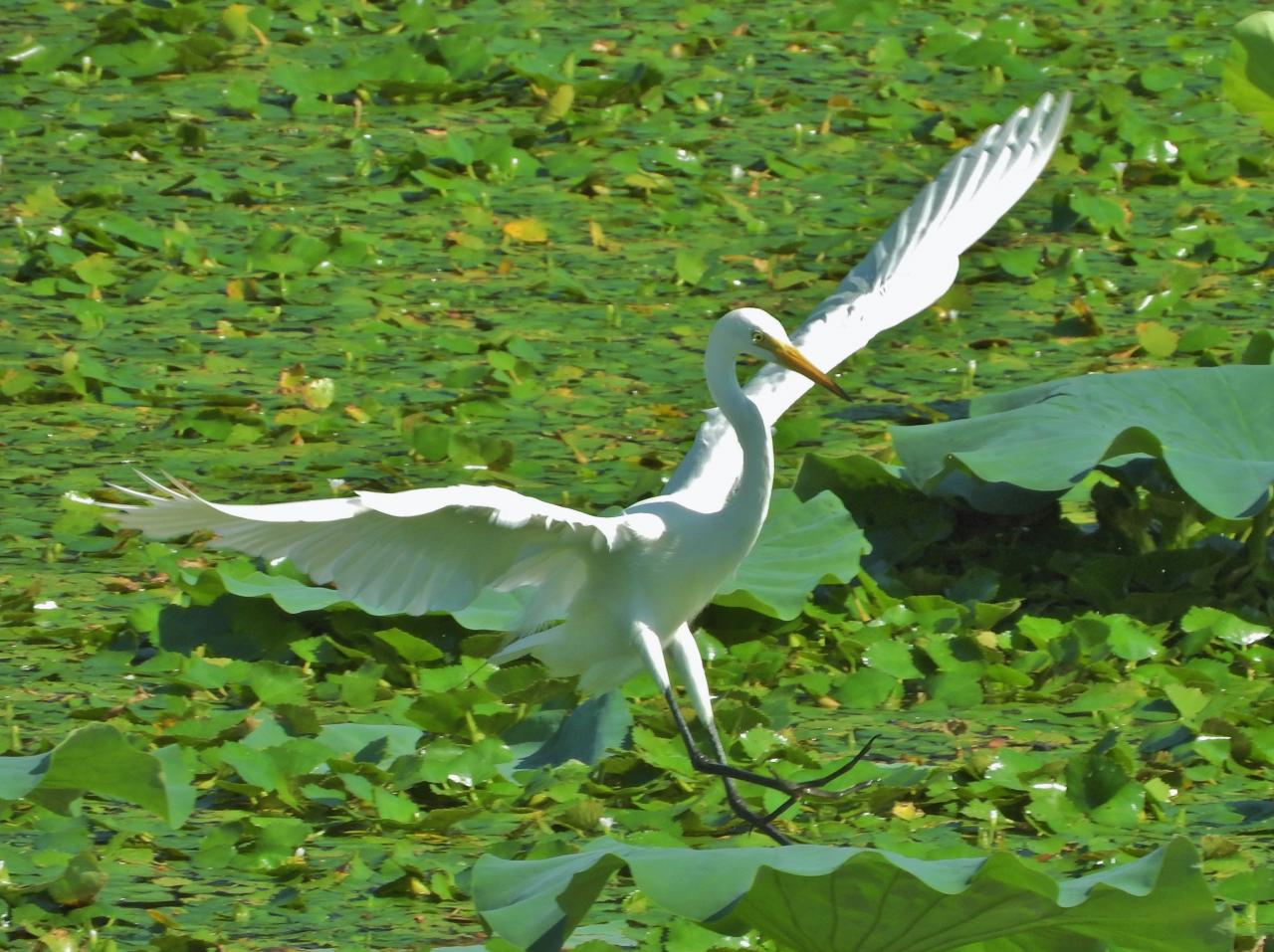 カラフルモンスター Everybody Photographer Com