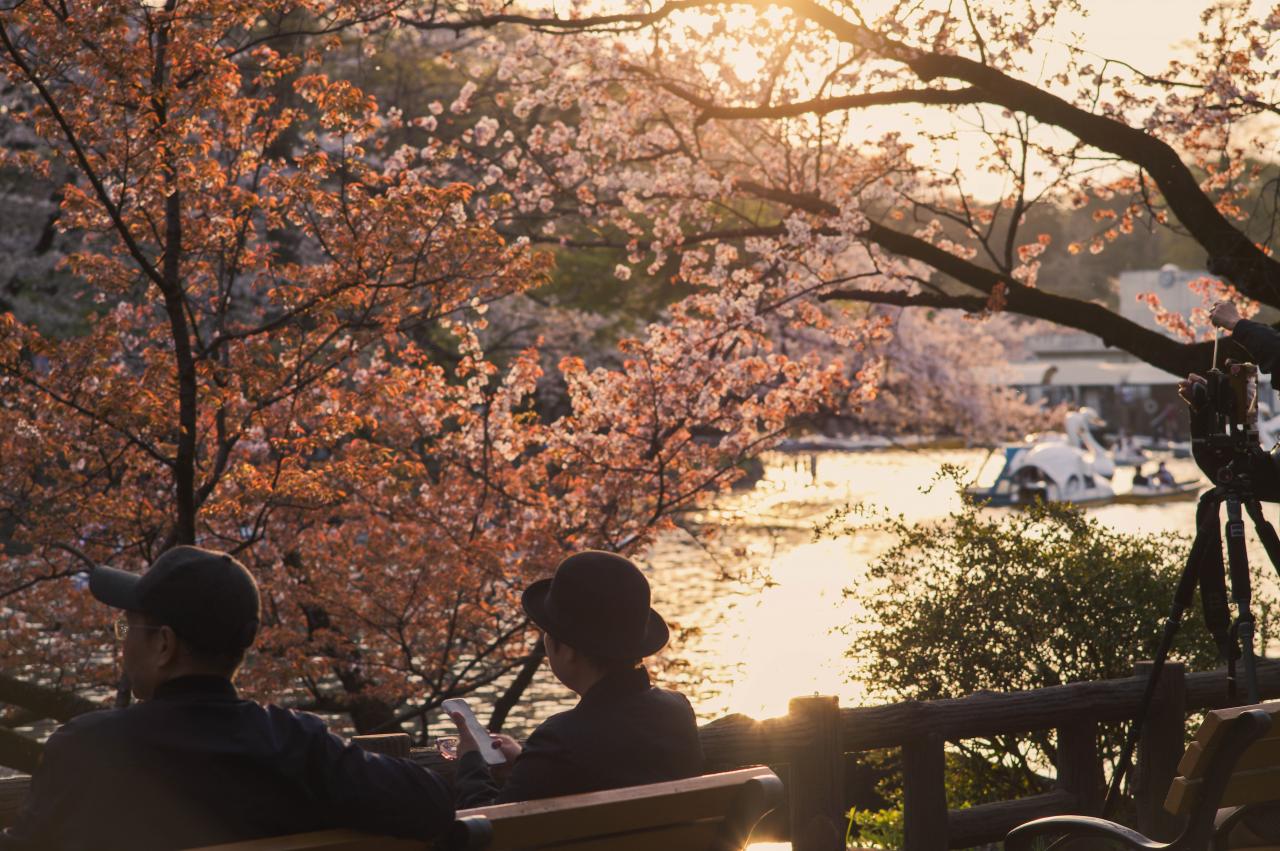 2次元 秋景色 エロ 夕暮れの女性 | EVERYBODY×PHOTOGRAPHER.com