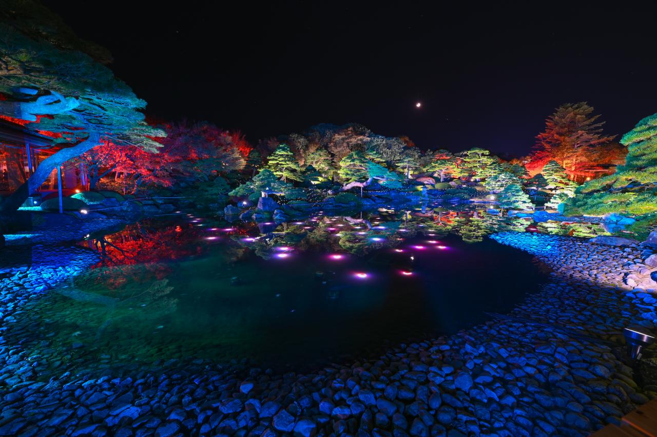 由志園 ライトアップ紅葉 Everybody Photographer Com 由志園 ライトアップ紅葉 Everybody Photographer Com