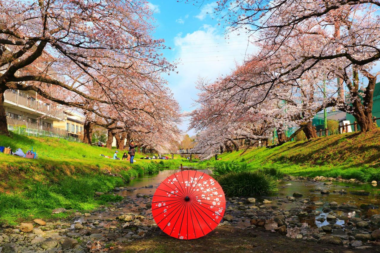 トーベ ヤンソン あけぼの 公園