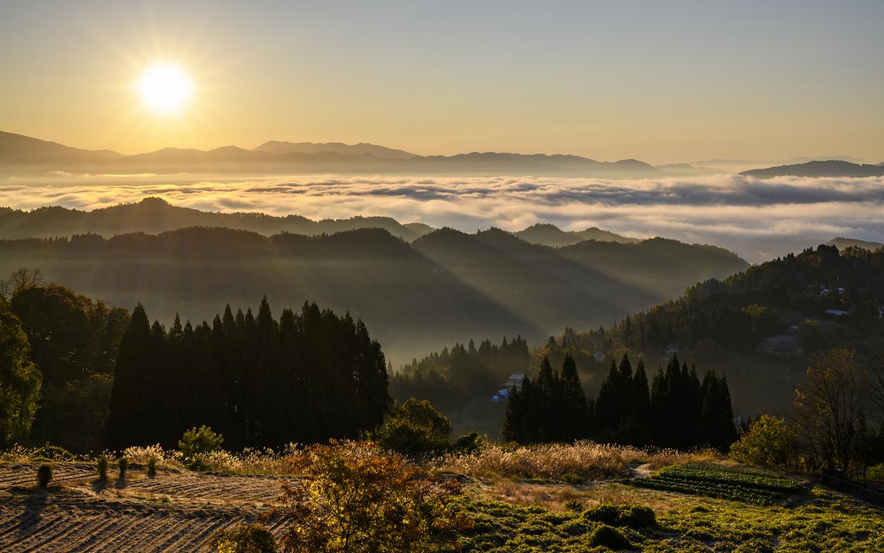 わに塚のサクラ 韮崎市 山梨 Everybody Photographer Com