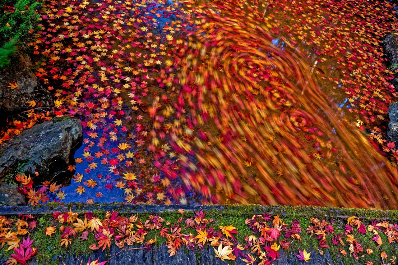 小野知久　油絵　赤富士 小野知久 ショップ 油絵 赤富士 小野知久 油絵 赤富士