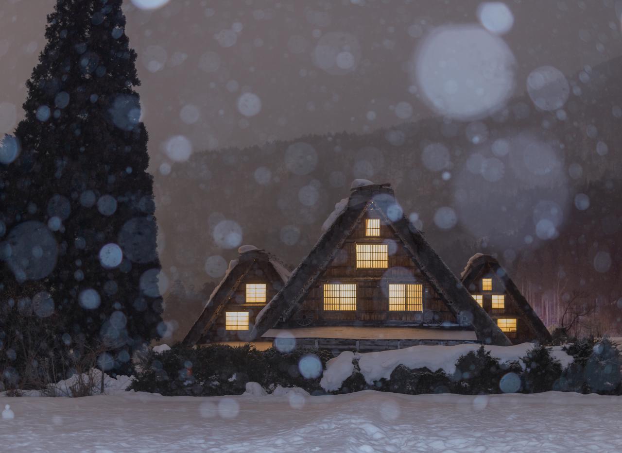 白川郷の雪景色 Everybody Photographer Com