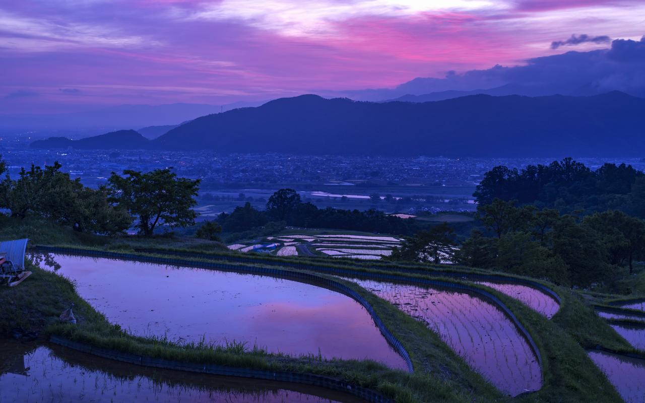 わに塚のサクラ 韮崎市 山梨 Everybody Photographer Com