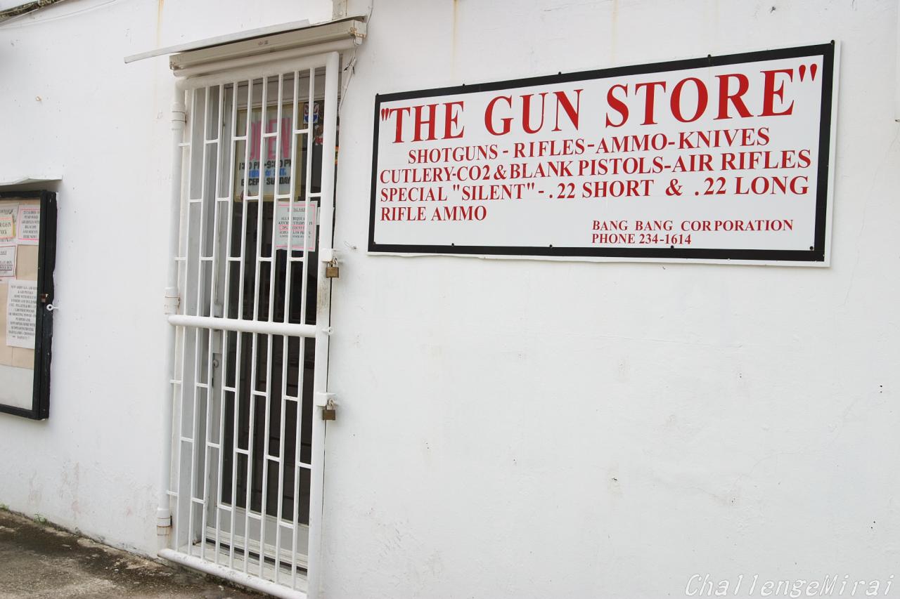 サイパン２００４ Everybody Photographer Com