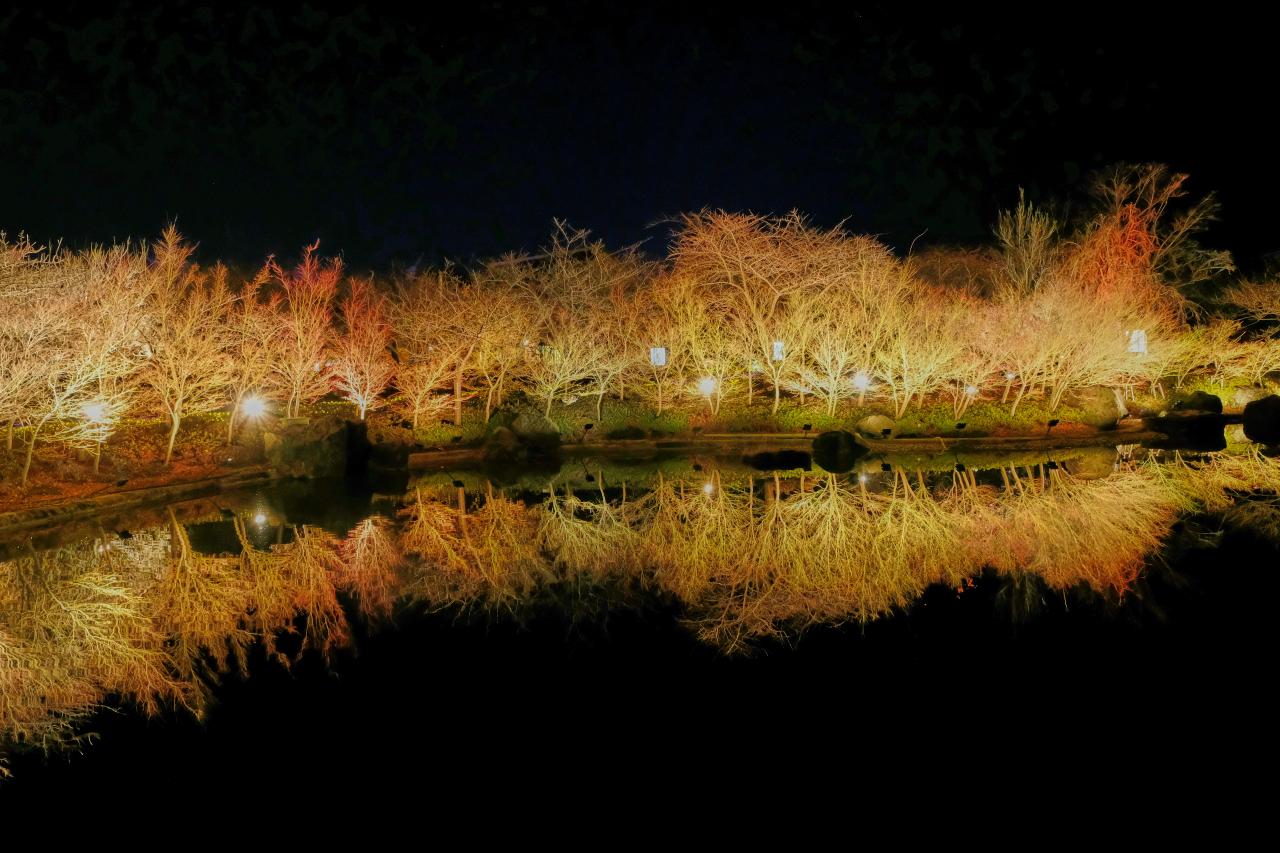 水鏡意思 水鏡意思