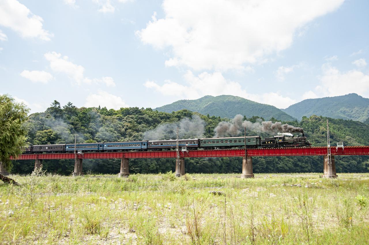 Amazon.co.jp: レトロ D-51 蒸気機関車 デゴイチ D51497 SL LS