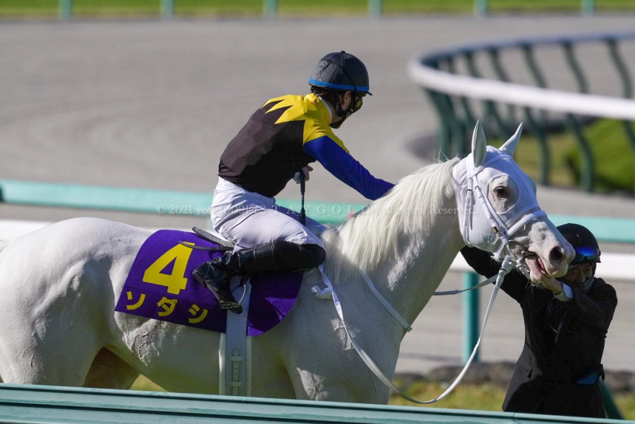 21年 桜花賞 ソダシ号 Everybody Photographer Com