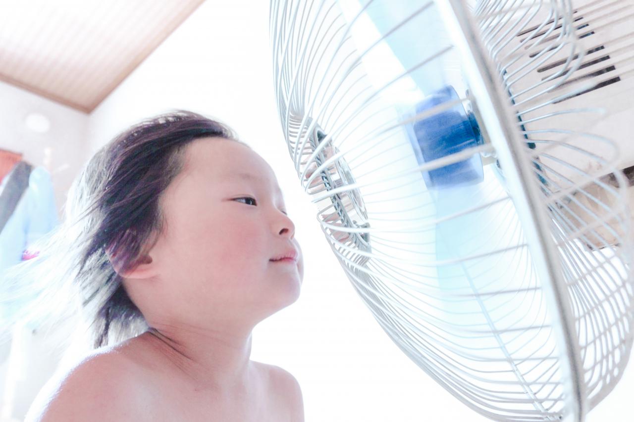 金魚すくい Everybody Photographer Com