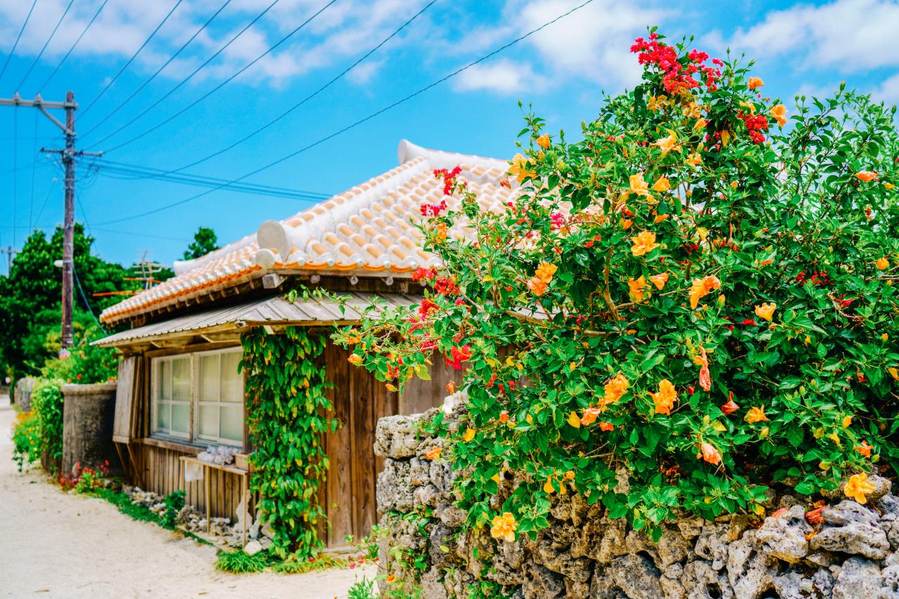 金魚すくい Everybody Photographer Com