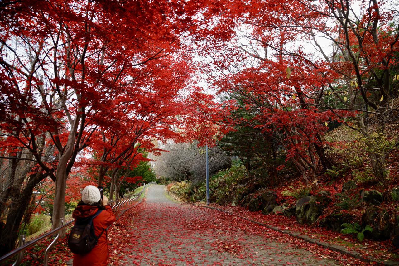 紅葉　虹エロ画像 色褪せ始めの紅葉 | EVERYBODY×PHOTOGRAPHER.com