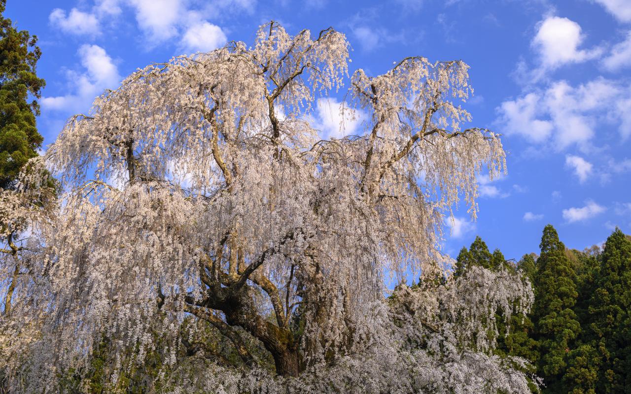 紺碧の海のテクスチャ Everybody Photographer Com