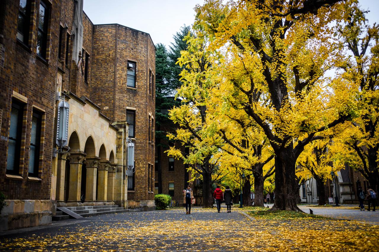 東京大学秋物語 Everybody Photographer Com 東京大学秋物語 Everybody Photographer Com