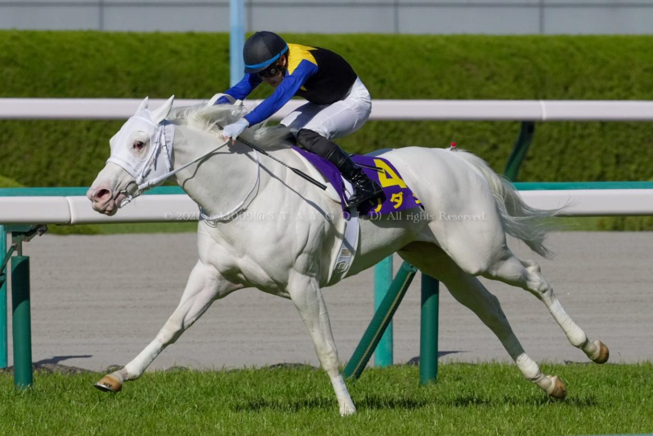 21年 桜花賞 ソダシ号 Everybody Photographer Com