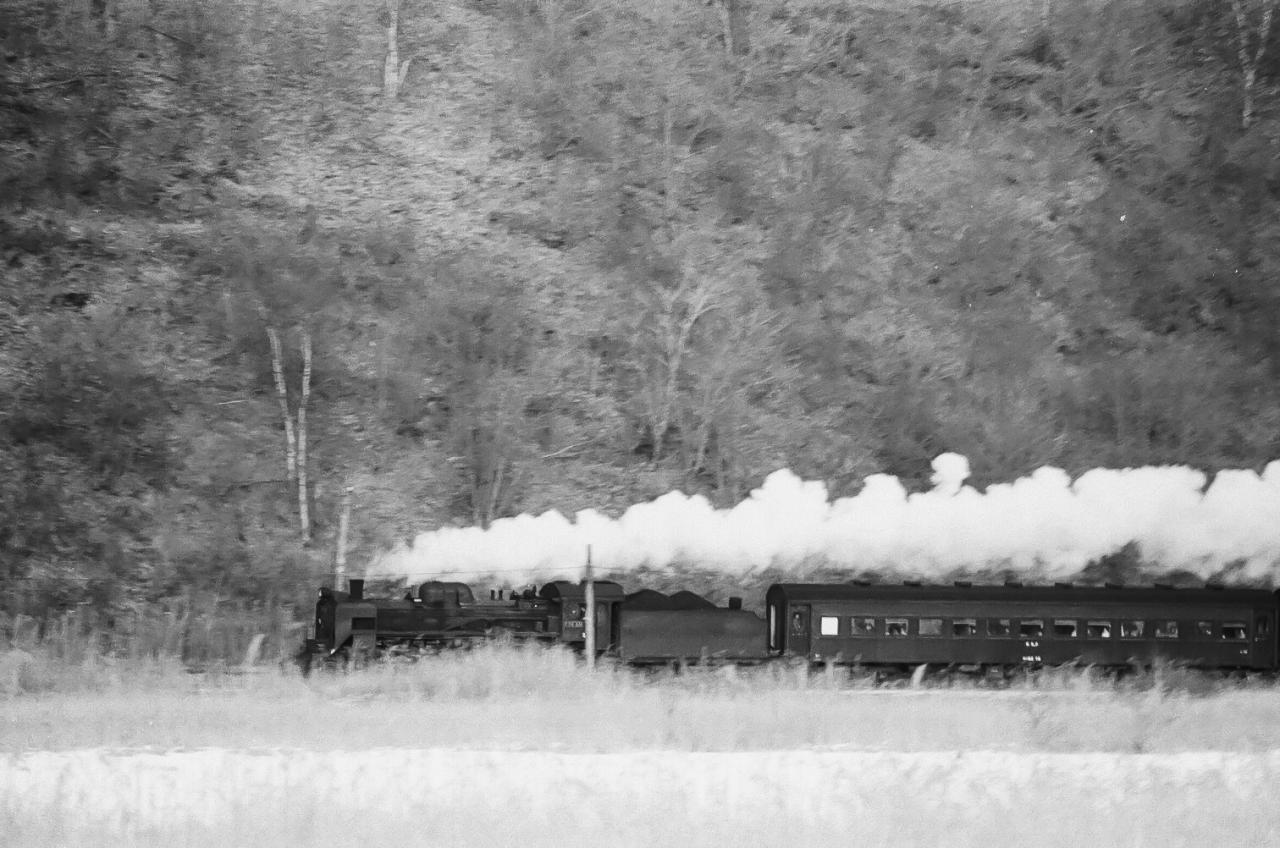 飯山線のC56型蒸気機関車 長野機関区にて | EVERYBODY×PHOTOGRAPHER.com