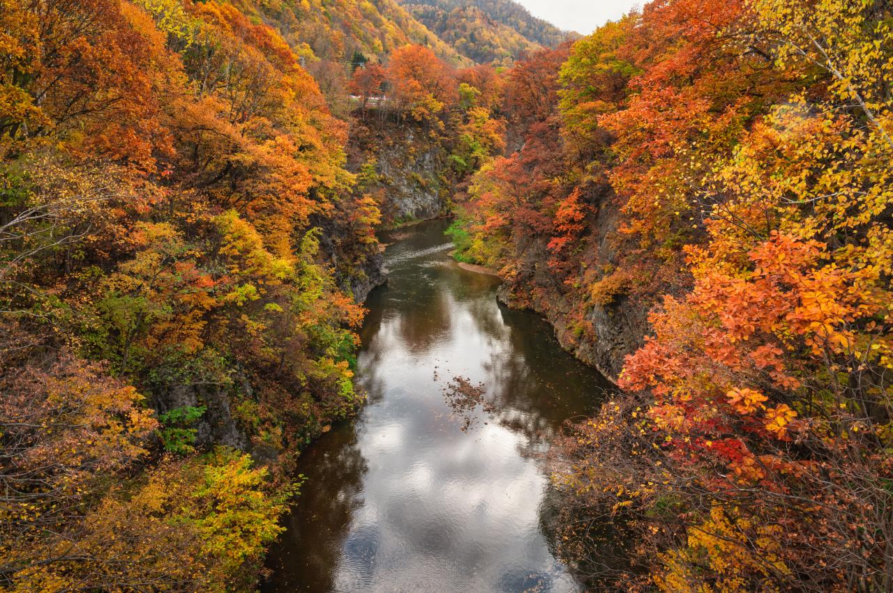 小樽を見守る満月 Everybody Photographer Com