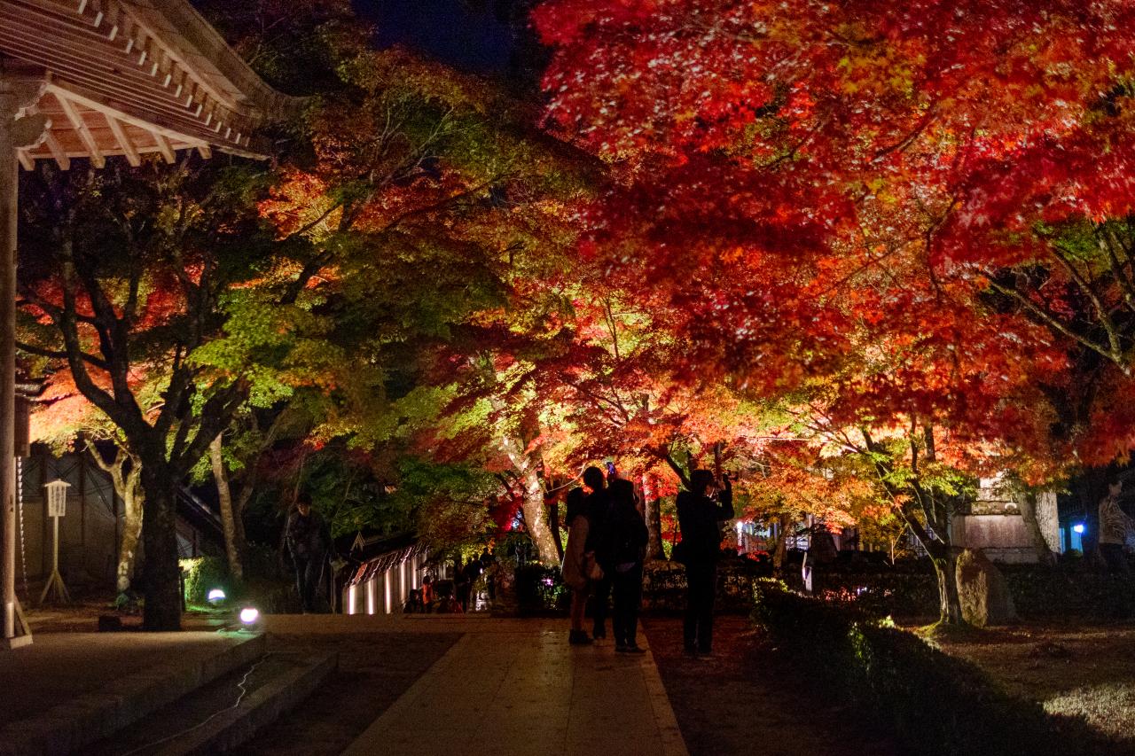 滋賀県永源寺紅葉ライトアップ Everybody Photographer Com