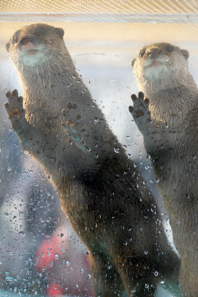 光の中へ Everybody Photographer Com